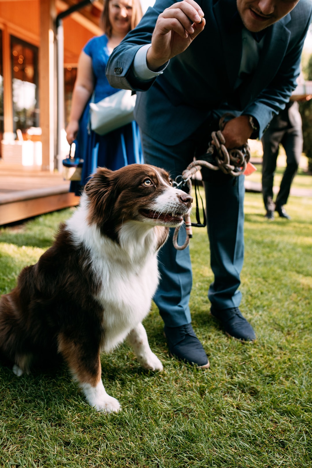 Mężczyzna w błękitnym garniturze pieszczący brązowo-białego psa na trawniku, w tle kobieta w niebieskiej sukience i pomarańczowy dom